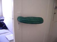 cactus door handle